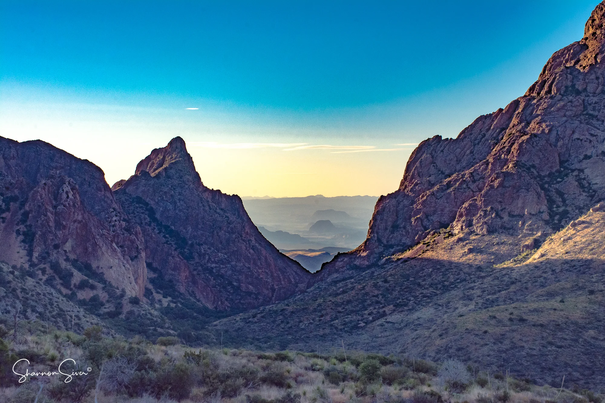 Windows into Texas