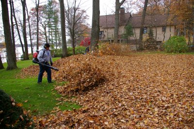 fall-Leaf-cleanup-bothell-clean-up-landscaping-clean-up-fall-landscaping-landscape-care-michigan.jpg