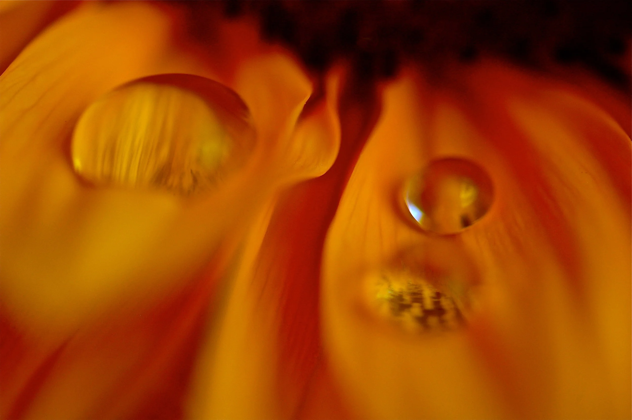 DSC_0105.JPG