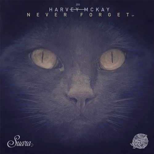 HARVEY MCKAY NEW EP OUT ON SUARA