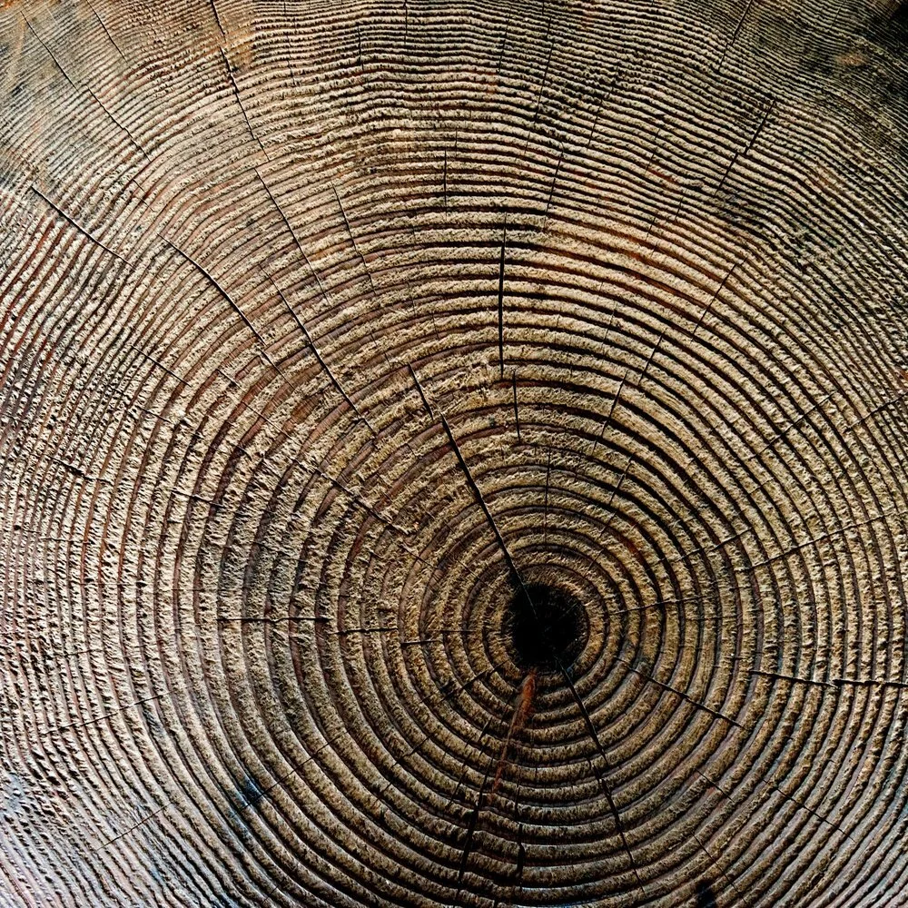 Time to Think Coach supervision course