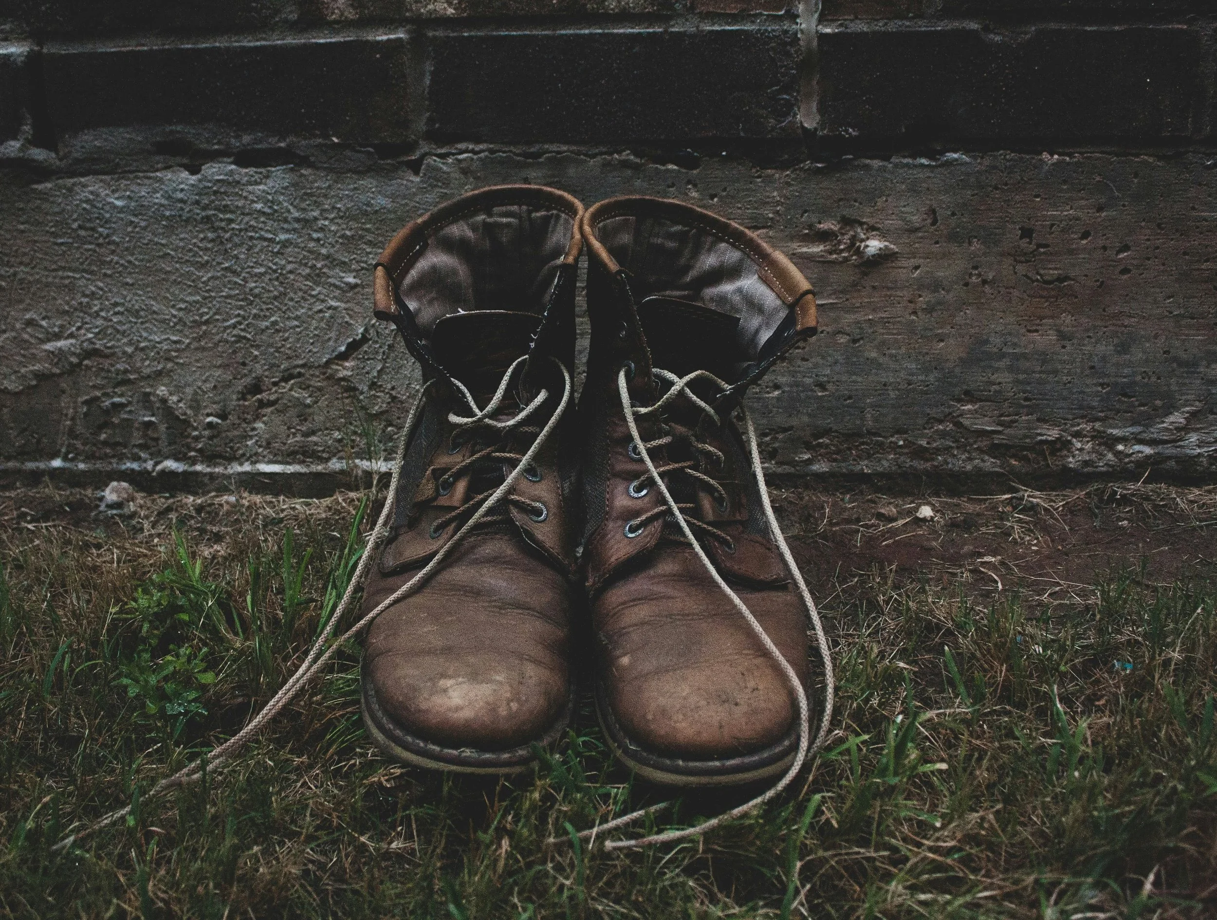 Messenger - Mary Oliver 