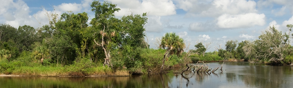 Photo credit: South Florida Water Management District