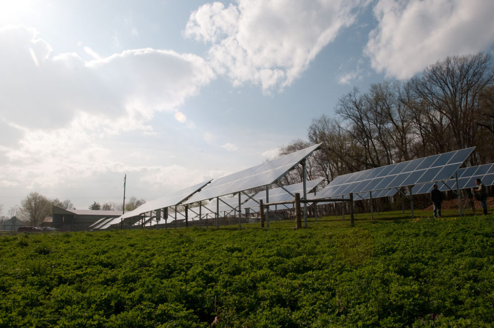Solar panels on a Pennsylvania farm. Farmers in Michigan may have to give up key tax breaks if they lease farmland for solar arrays. PHOTO BY Lance Cheung / USDA