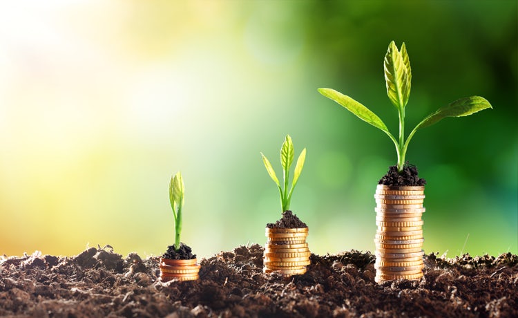 Unilever’s ‘Sustainable Living’ brands, which include Hellmann’s, Dove and Ben & Jerry’s, delivered more than 60% of the company’s growth in 2016