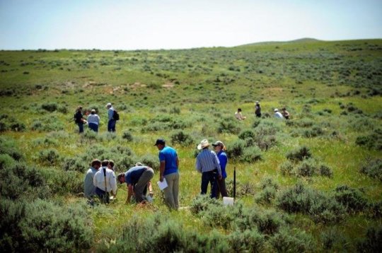 Participants in a workshop hosted by the University of Wyoming's Wyoming Reclamation and Restoration Center examine vegetation near Gillette, Wyo. A UW College of Business researcher has helped quantify the economic value of biodiversity in grasslands for the purpose of carbon storage. Credit: University of Wyoming