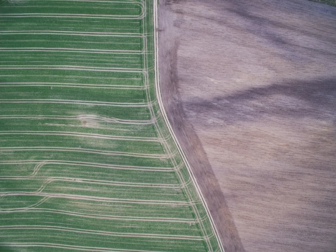 Photo by Dominik Martin on Unsplash