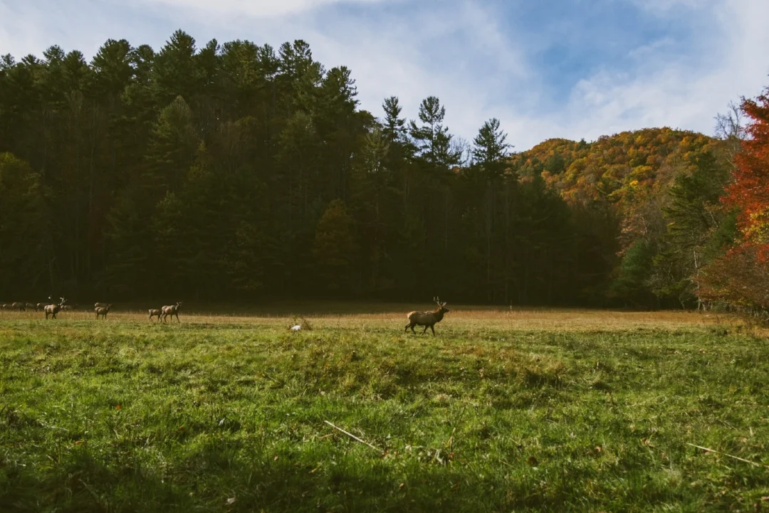 Photo by Jordan Whitt on Unsplash