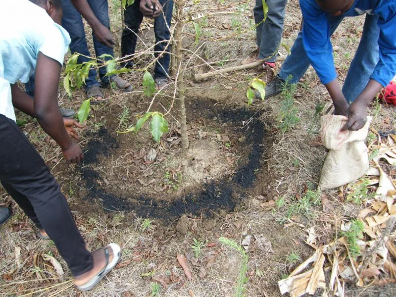 A biochar application as part of the Black Earth Project in Tanzania. All images courtesy of Radio Lifeline.