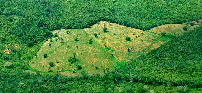 Aerial view of the Amazon rainforest, photo by Neil Palmer (Flickr: CIAT )