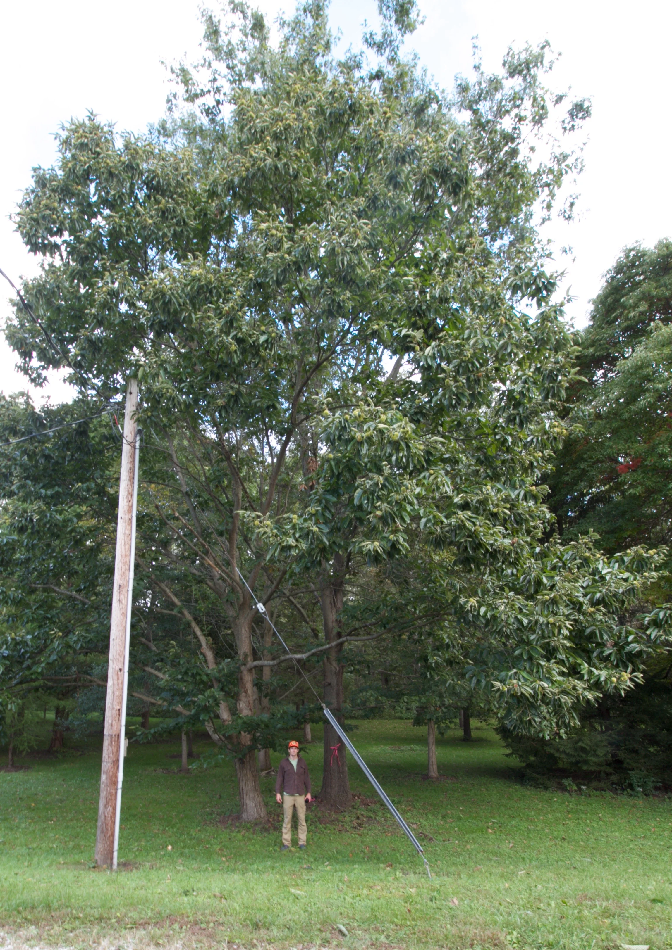 _MG_2681.jpg