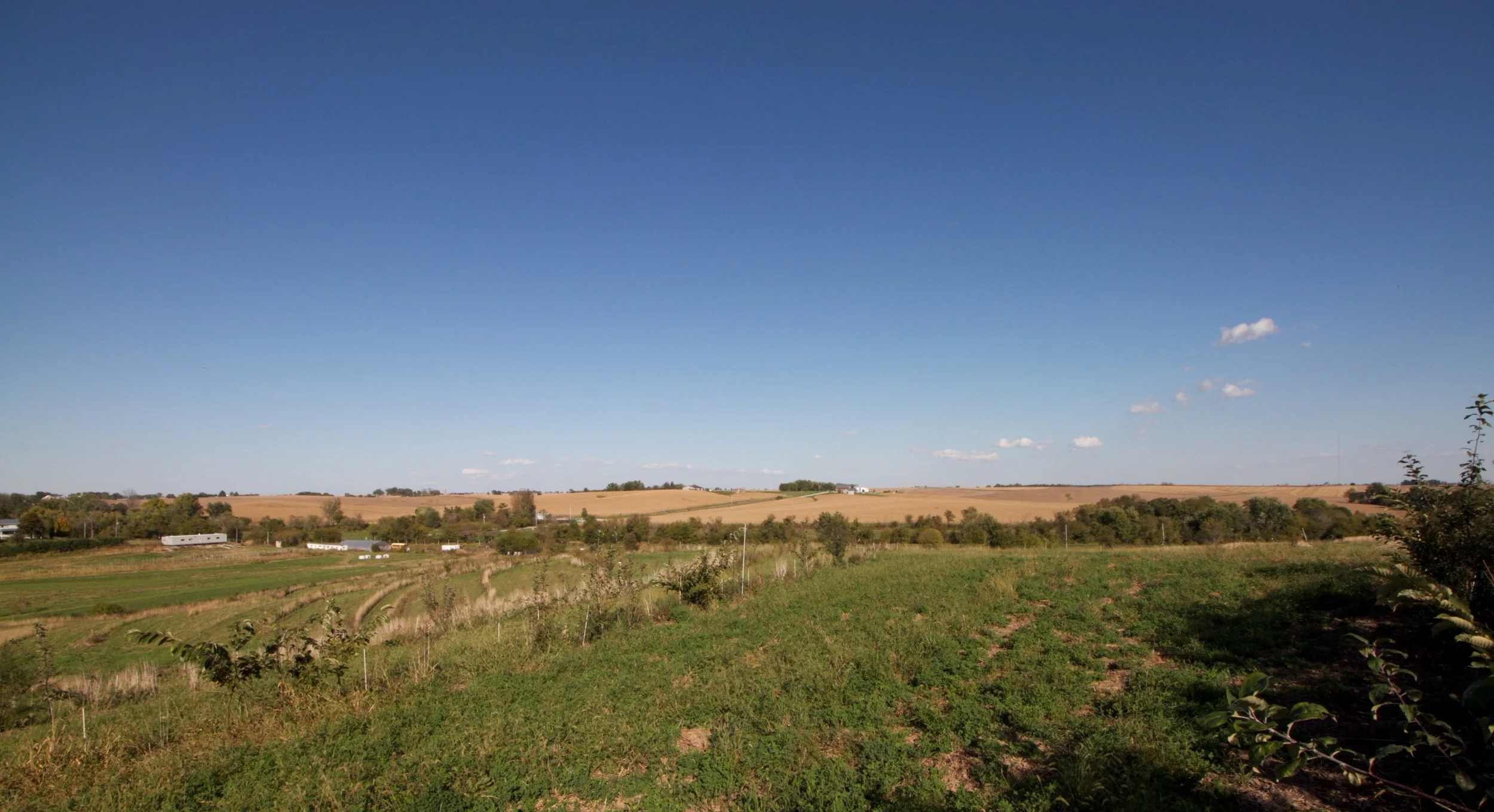 _MG_2796.jpg