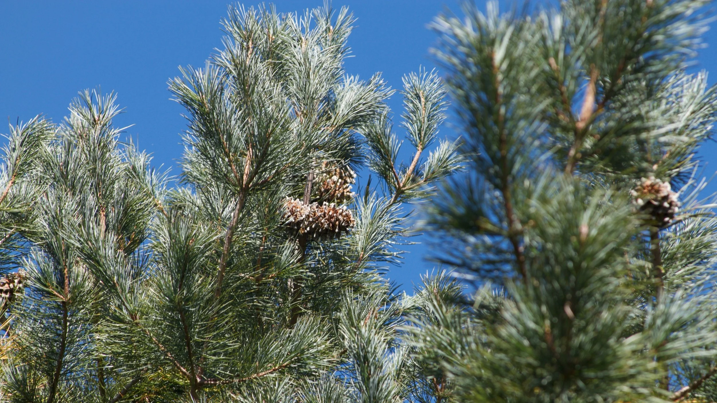 _MG_3151.jpg