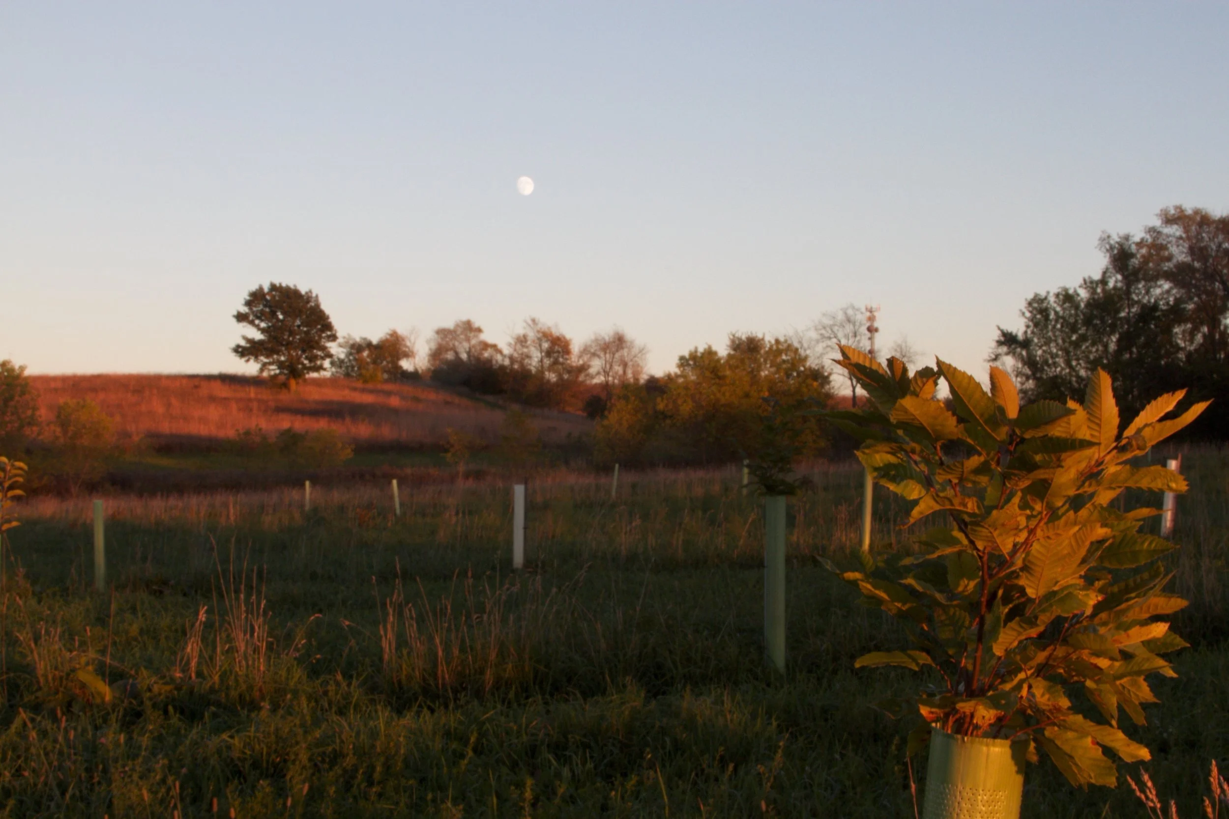 _MG_3364.jpg