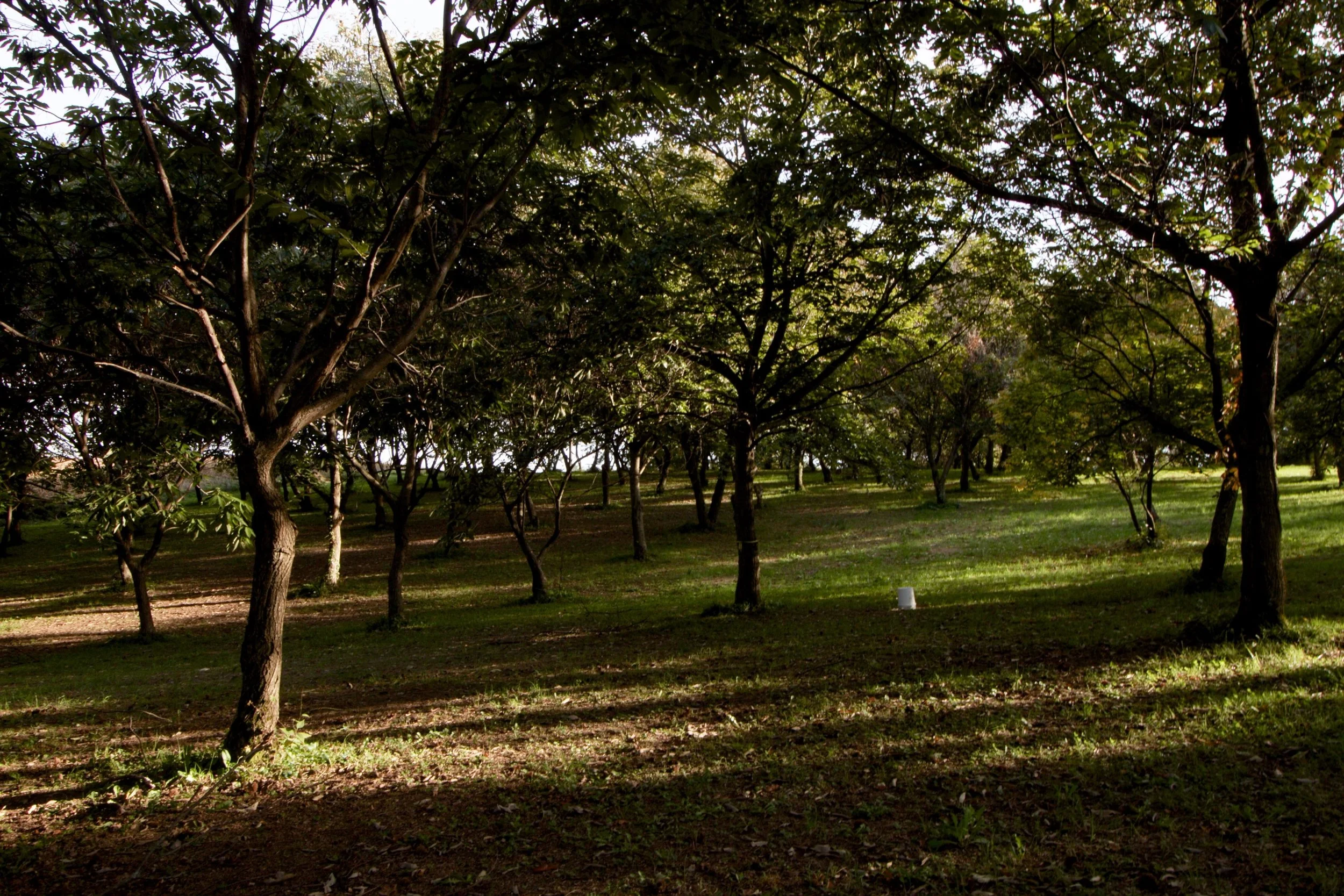 _MG_3401.jpg