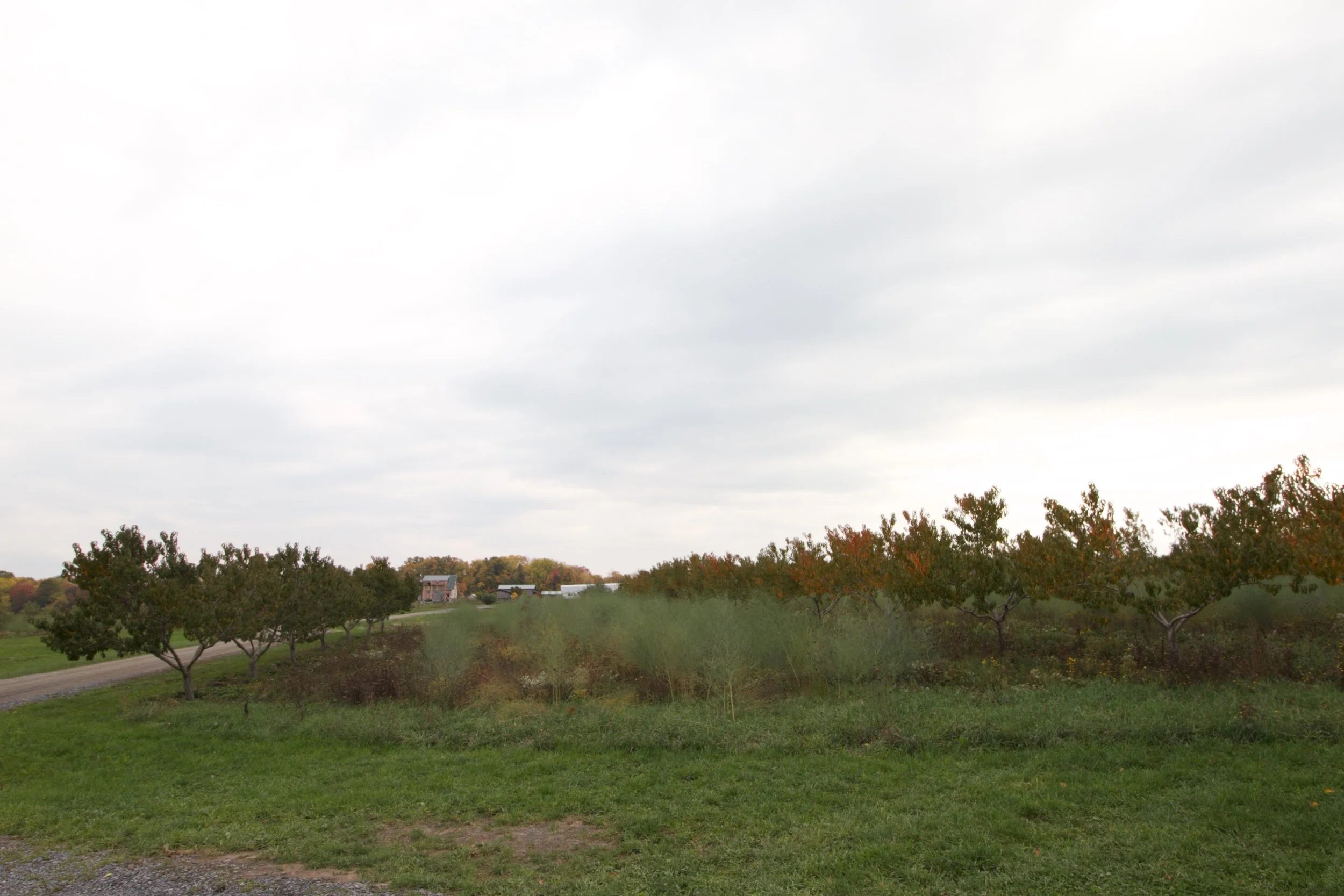 _MG_3582.jpg