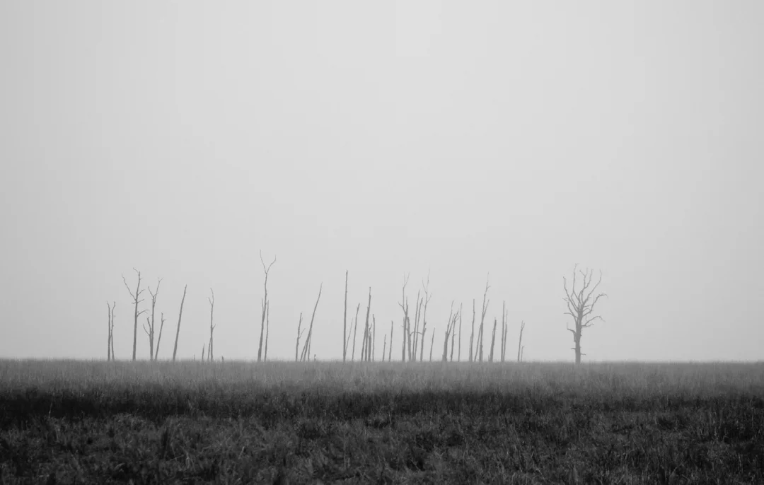 Photo by Abhay Vyas on Unsplash