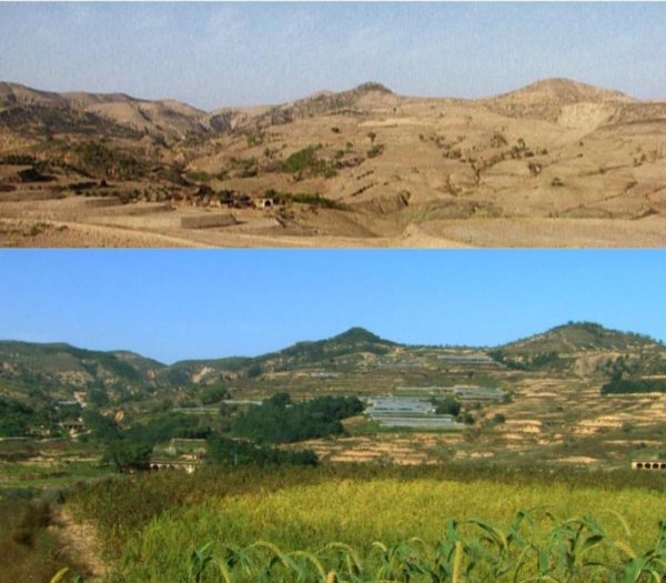Before and after watershed restoration and regenerative agriculture in China’s Loess Plateau. Image courtesy of Arne Næss Project .