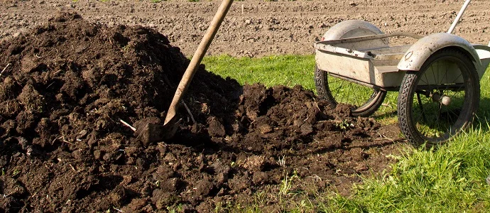 organic fertilizer