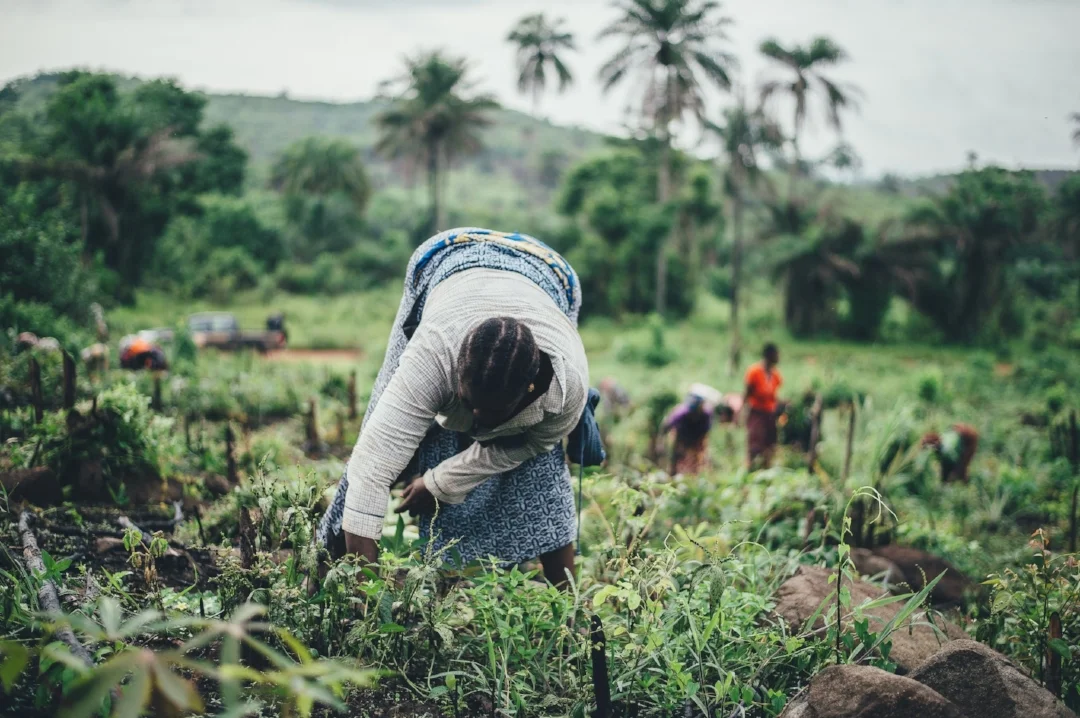 Photo by Annie Spratt on Unsplash
