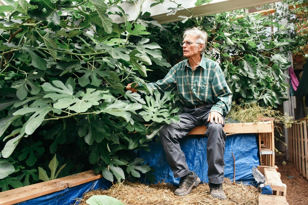 Osentowski in one of his greenhouses. All photos by Clarissa Wei , VICE