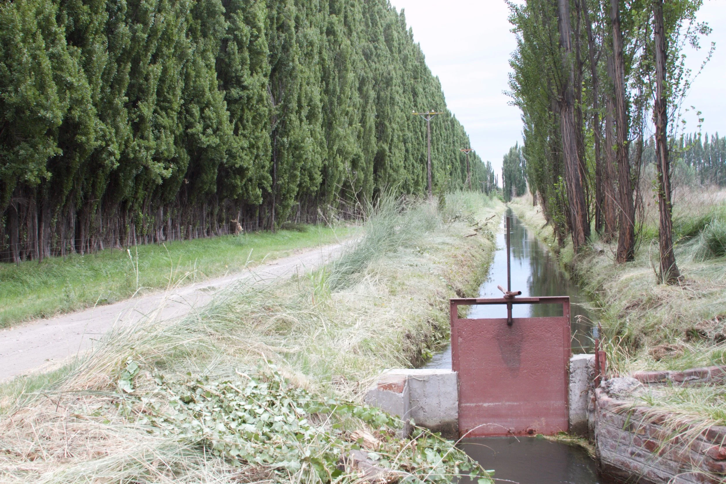 In the valley there exists the profession of “irrigator:” An irrigator rides around on a motorcycle, and opens/closes the floodgates on schedule.