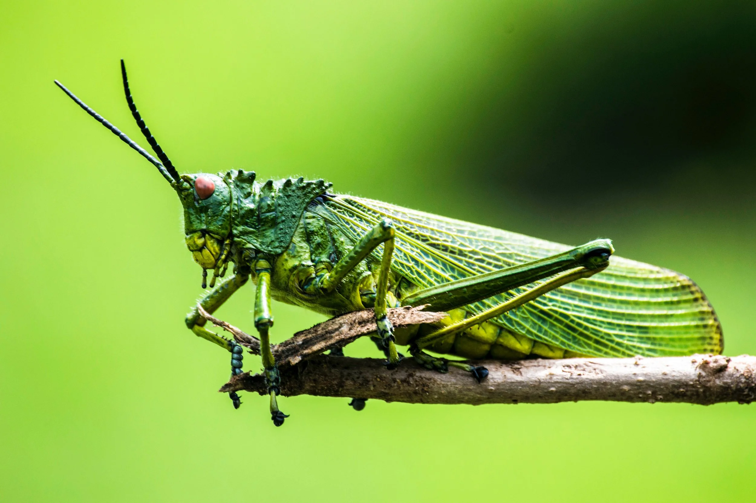 Photo by Elegance Thika on Unsplash