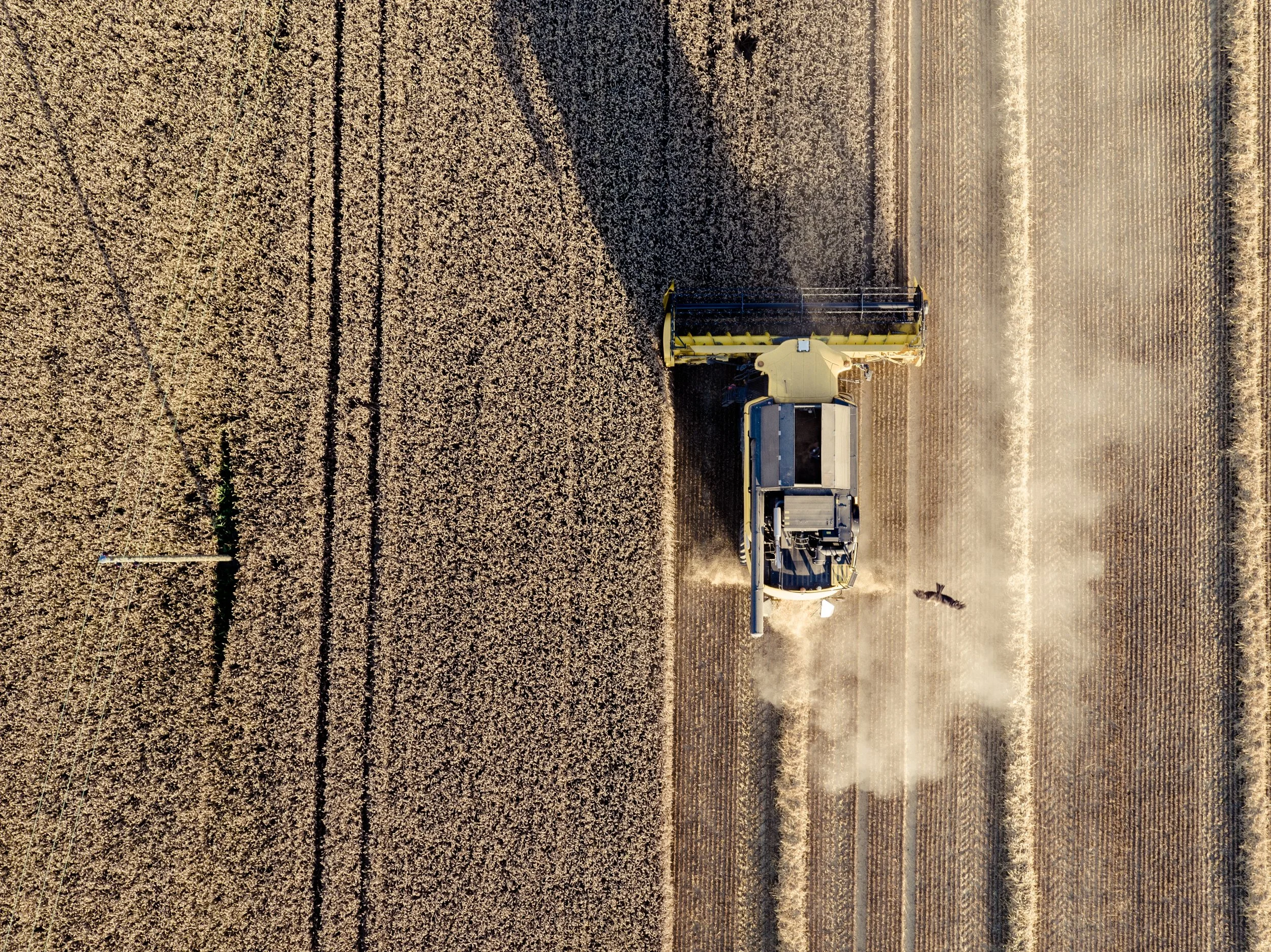 Photo by jean wimmerlin on Unsplash