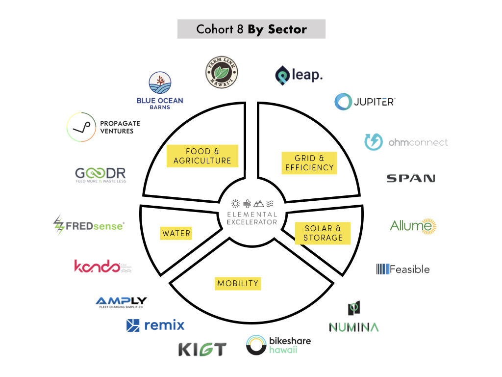 Cohort 8 - by sector.jpeg