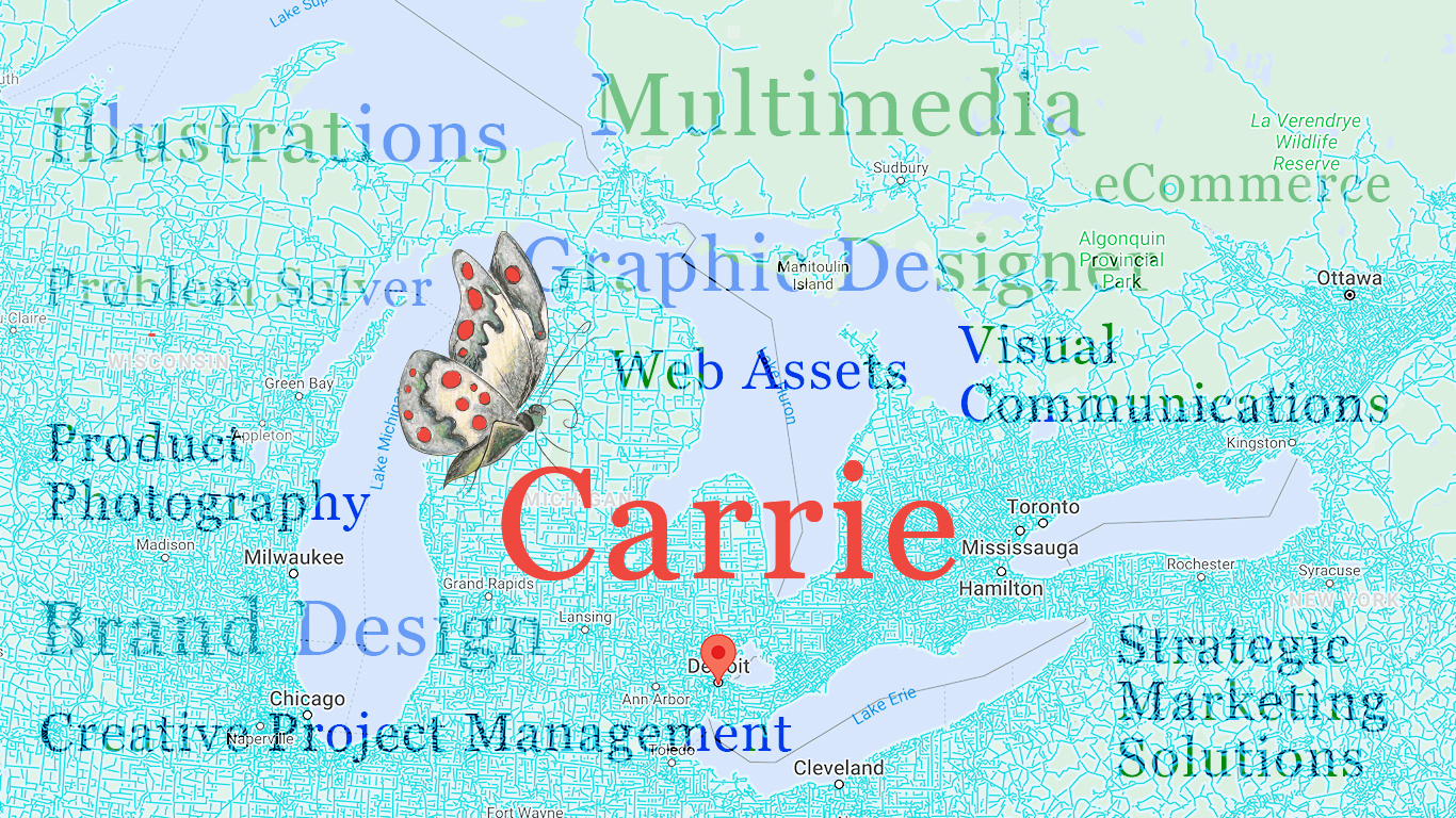 Carrie Web Header.png