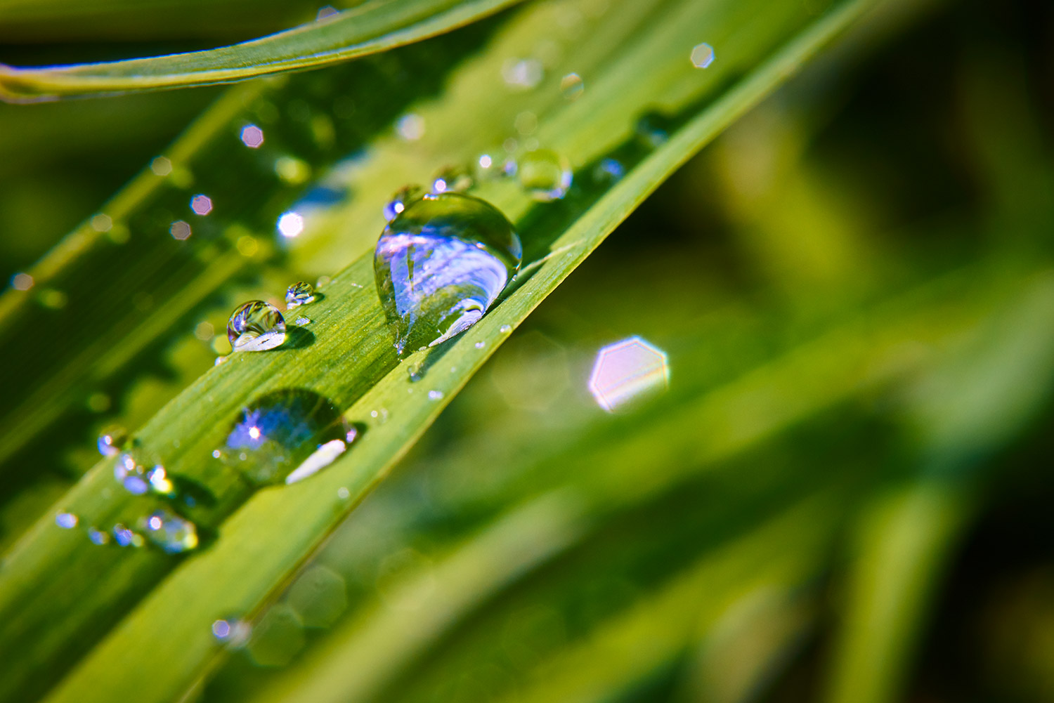 Water Droplets 15.jpg