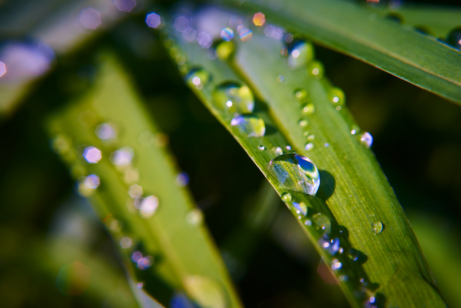 Water Droplets 25.jpg