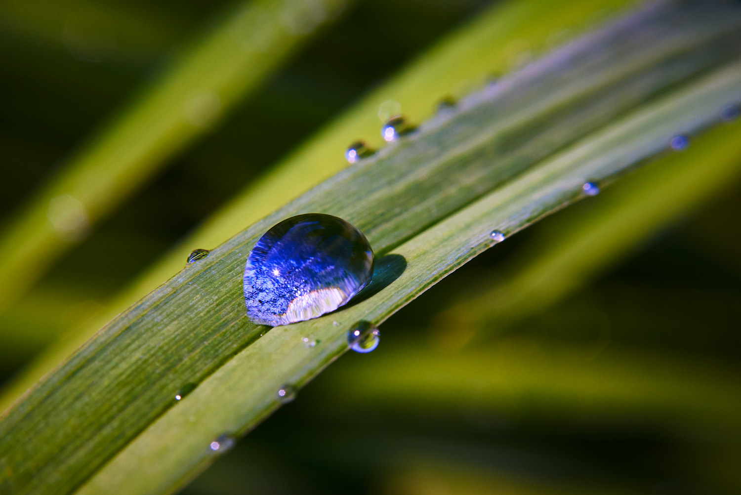 Water Droplets 31.jpg