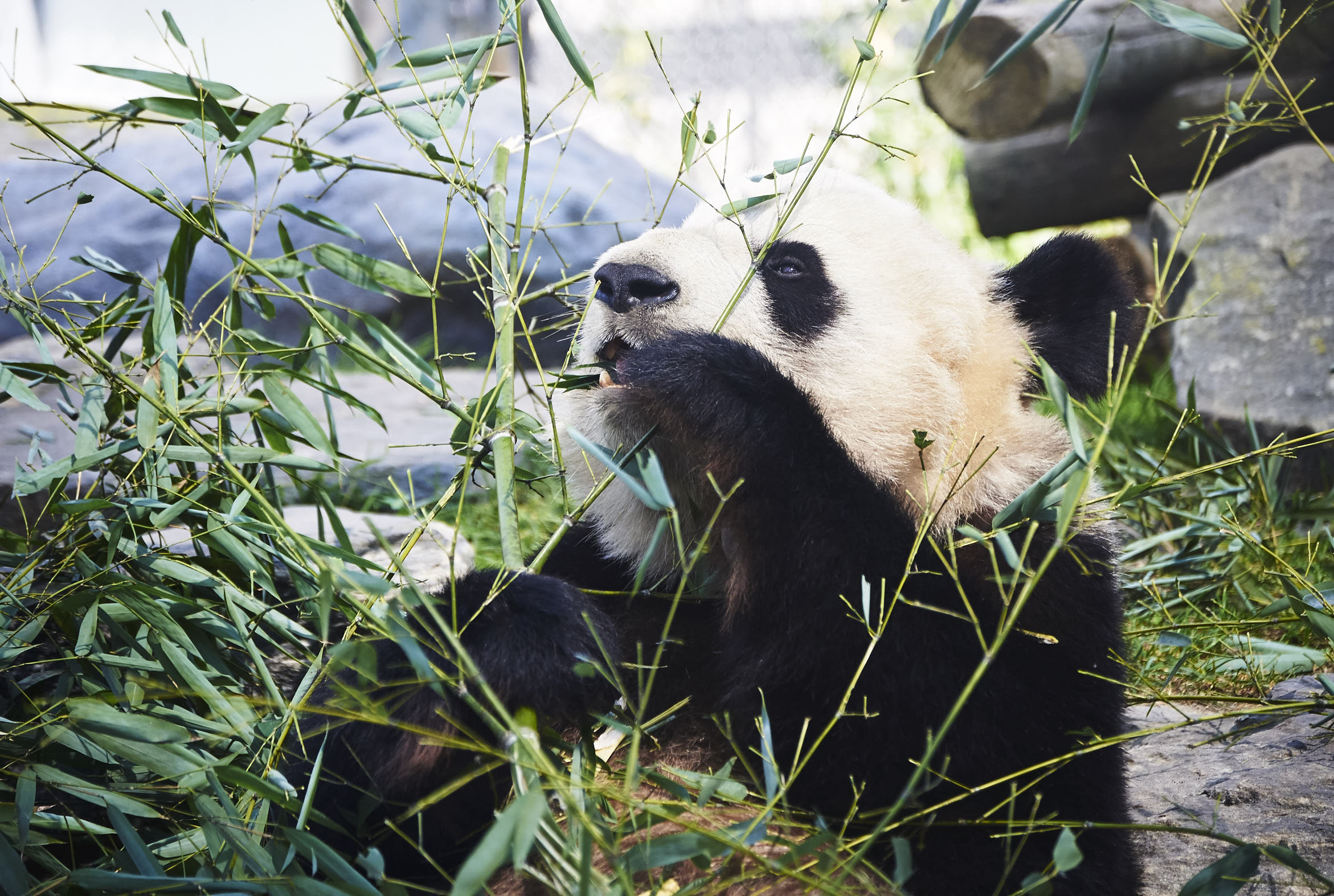 Toronto Zoo 77.jpg