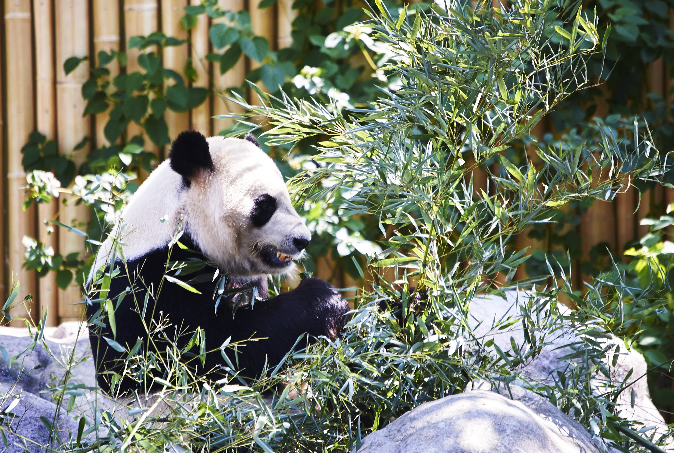 Toronto Zoo 102.jpg