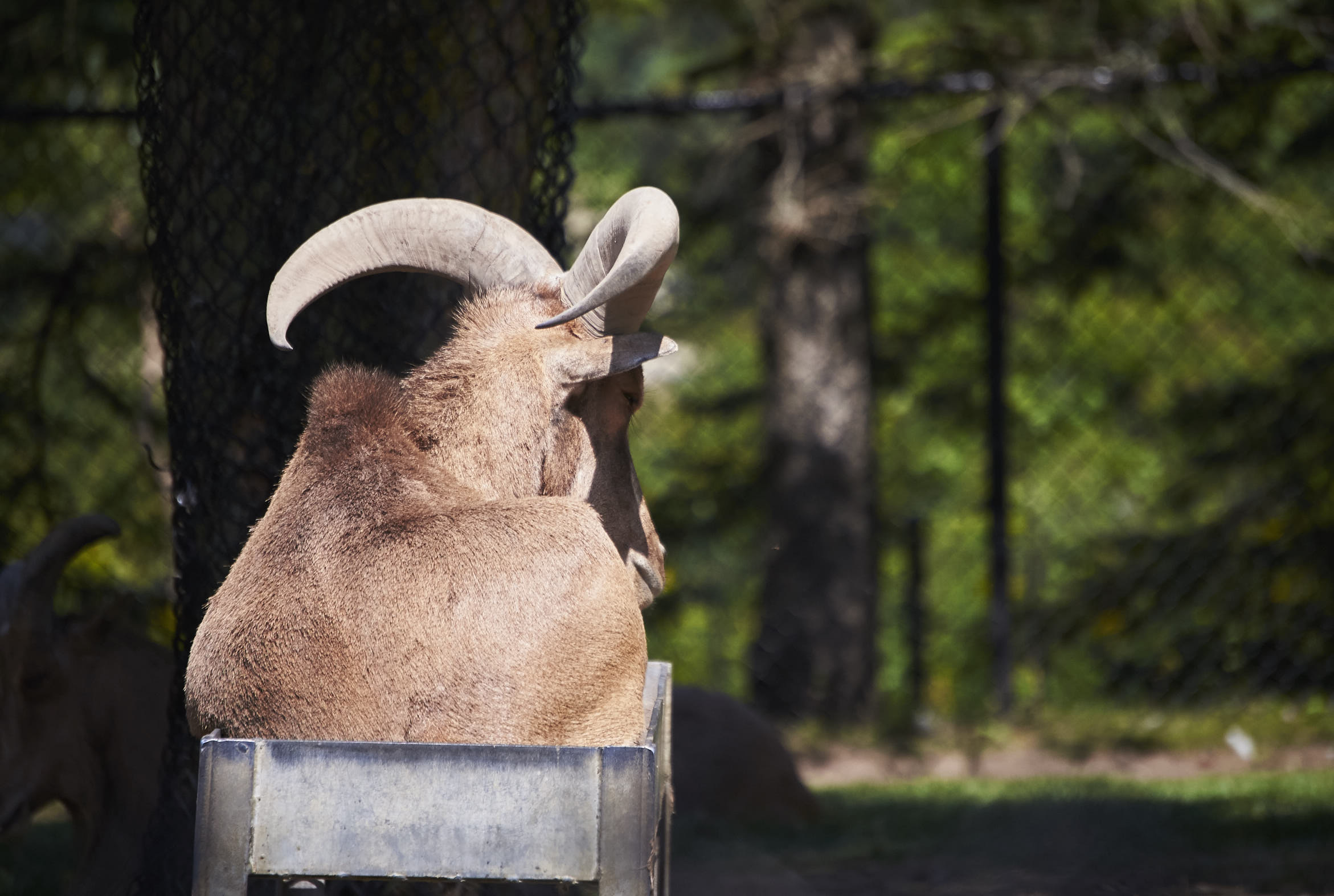 Toronto Zoo 142.jpg