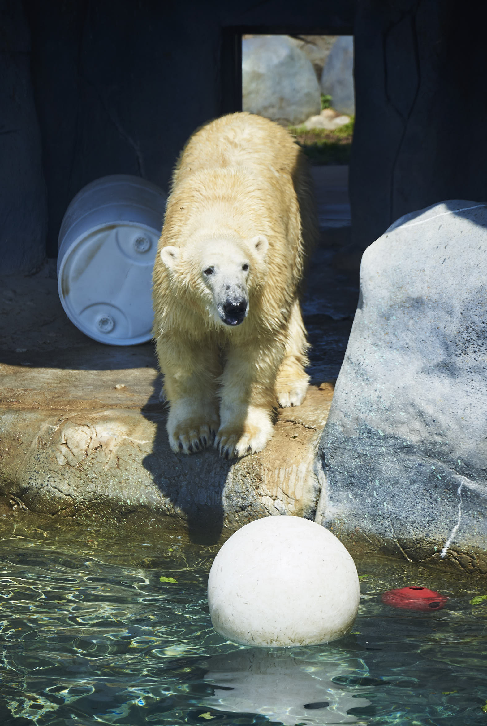 Toronto Zoo 214.jpg