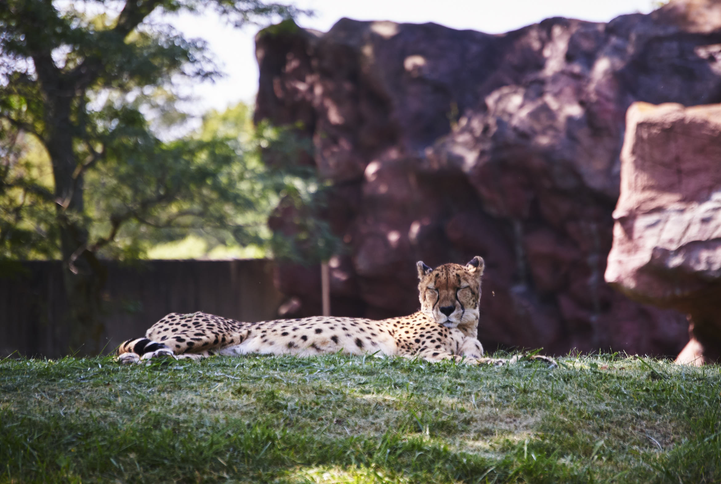 Toronto Zoo 646.jpg