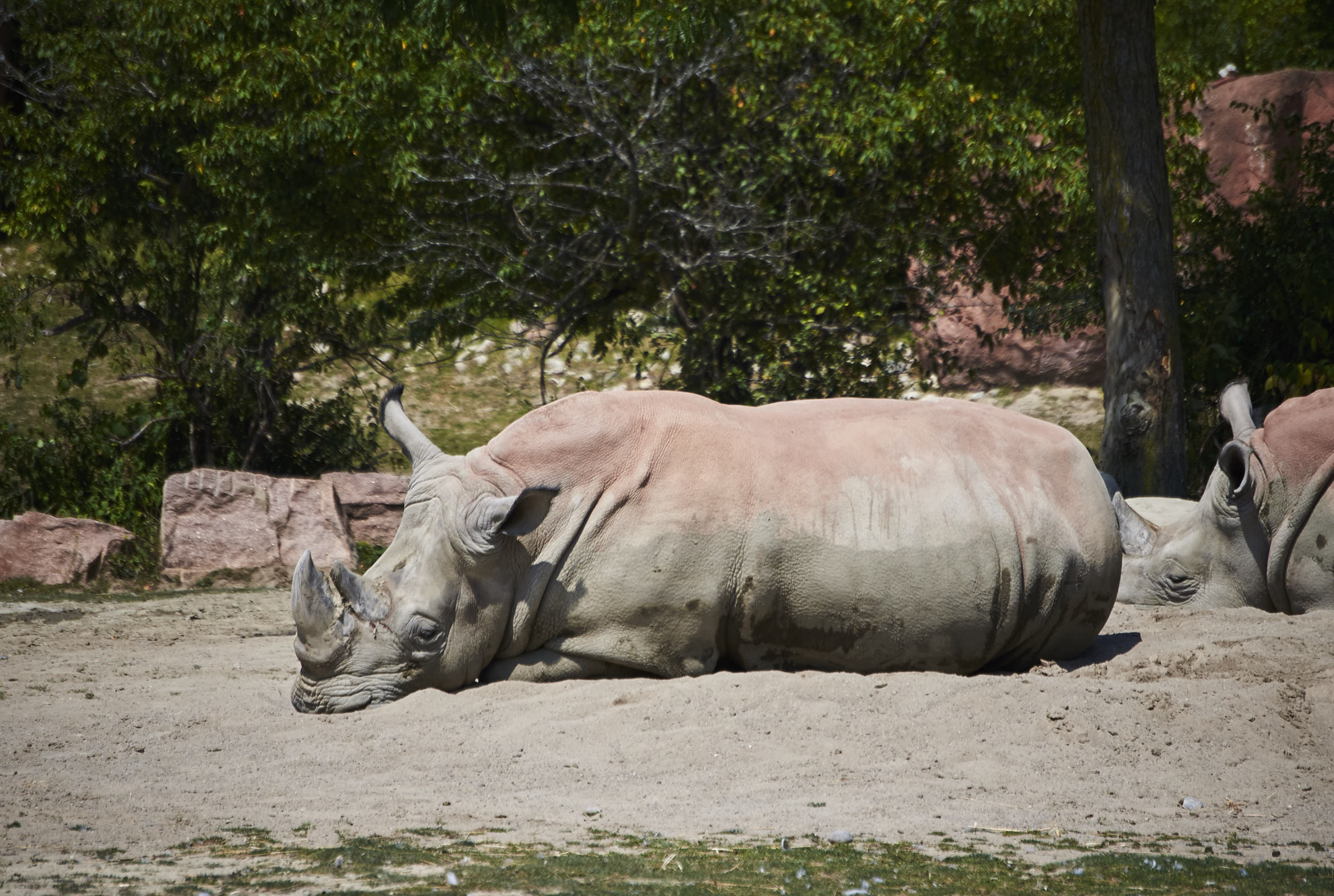 Toronto Zoo 666.jpg