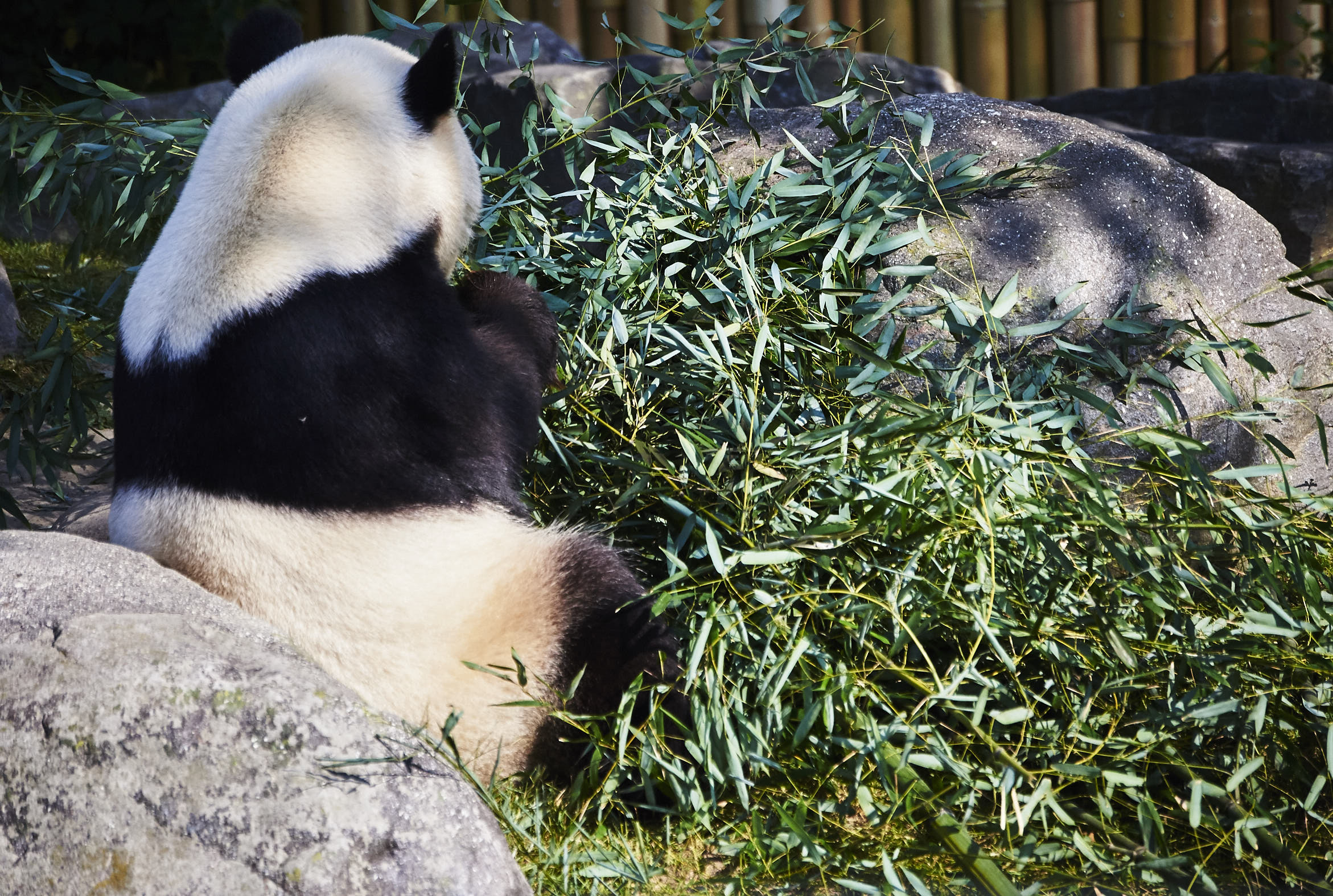 Toronto Zoo 1184.jpg