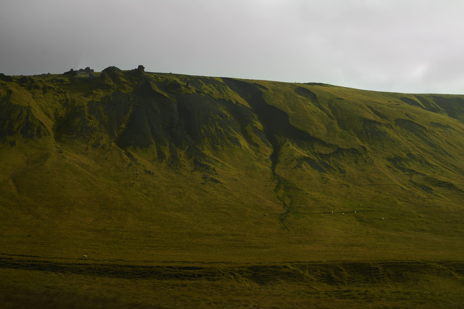 Iceland_516.jpg
