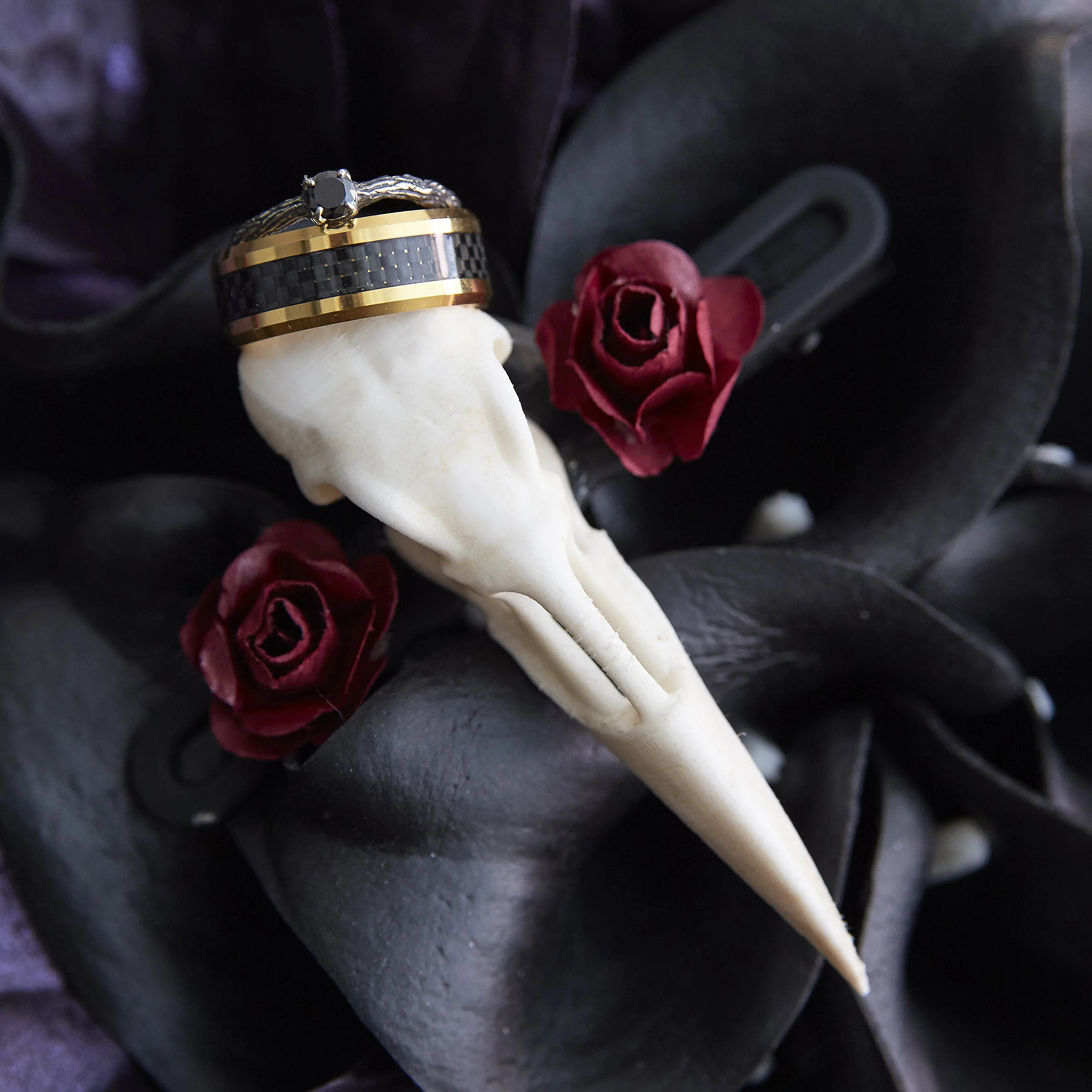 ringshot-007.jpg