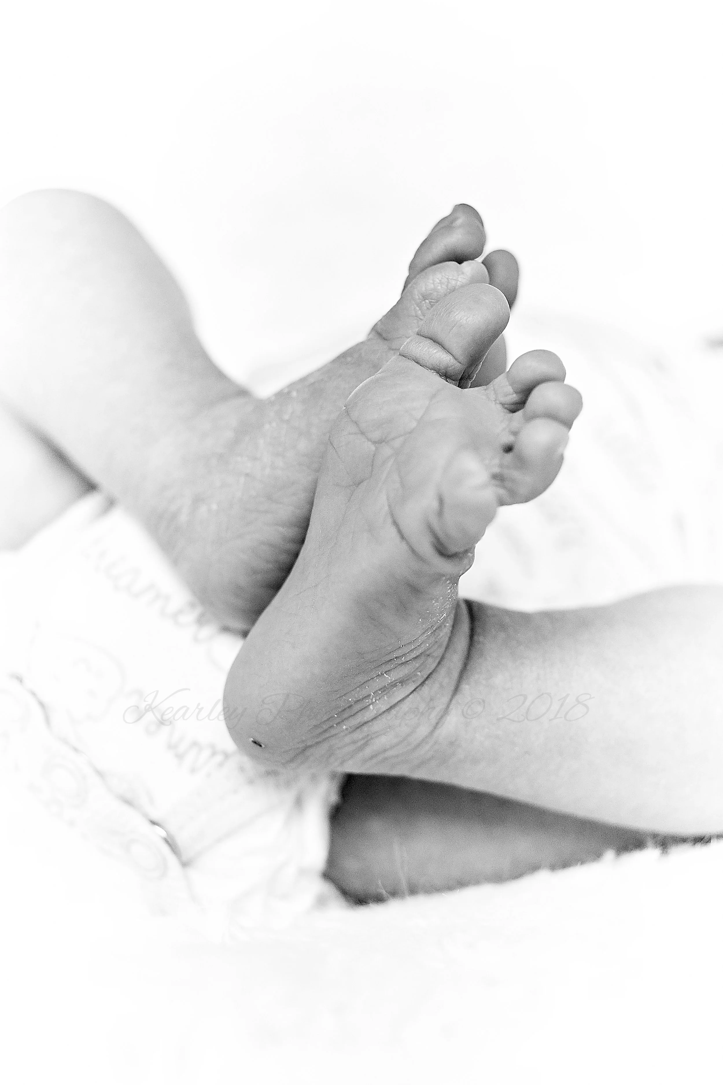 Newborn | Kearley Photography