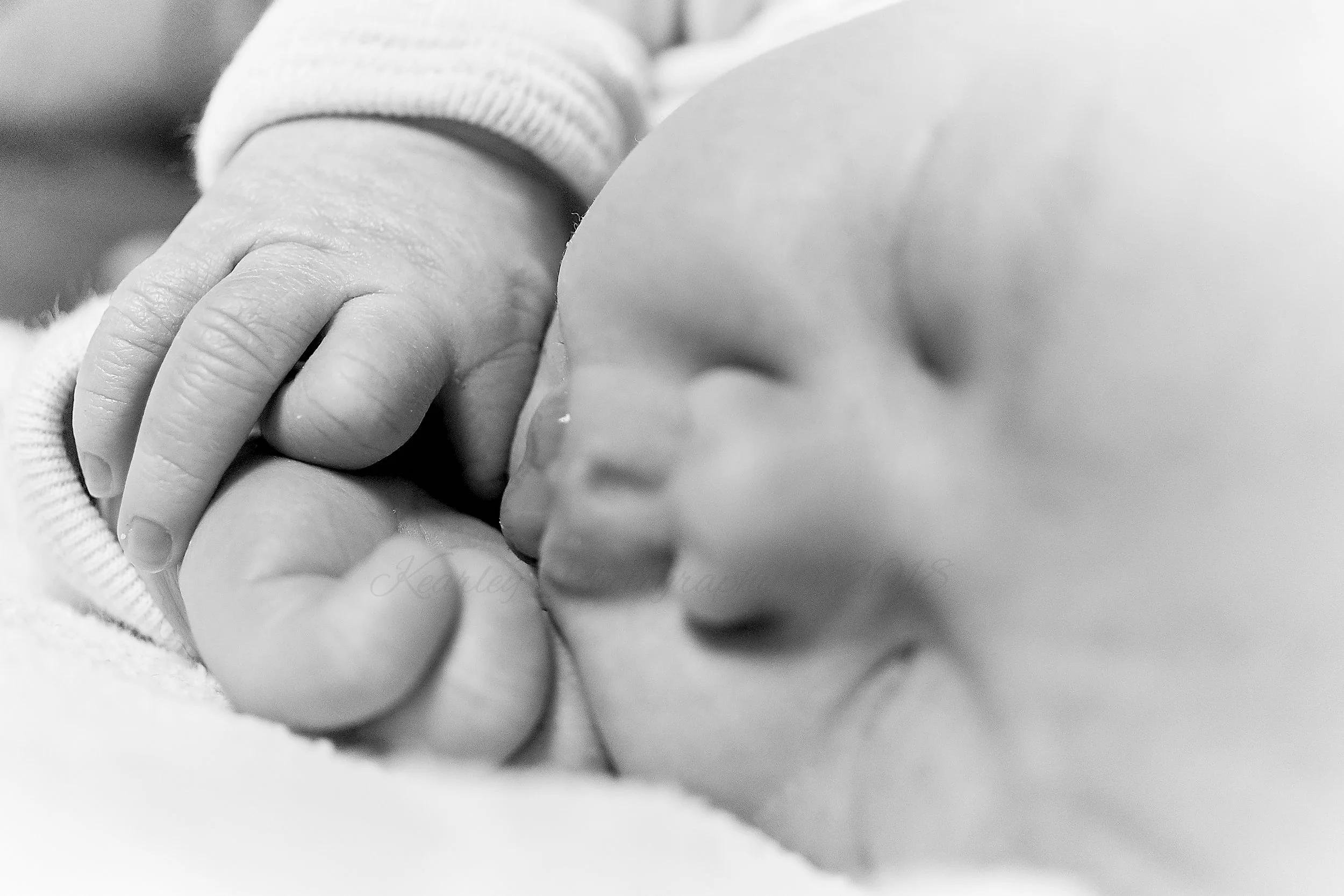 Newborn | Kearley Photography