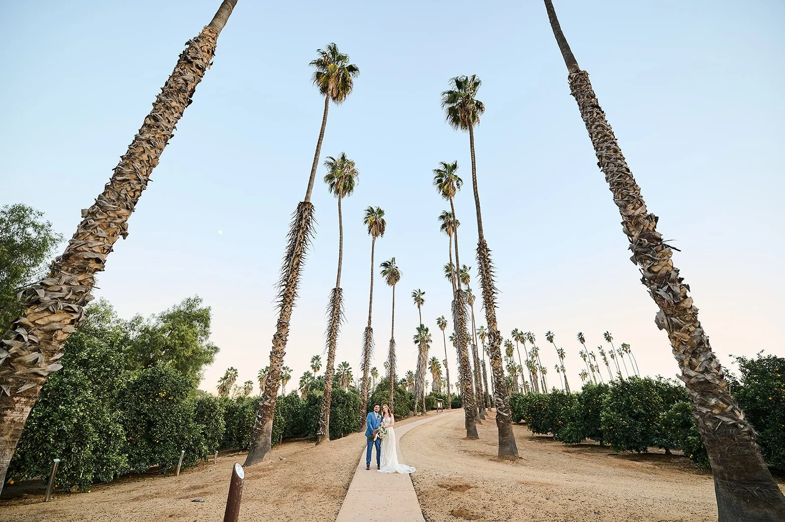 Citrus Park Wedding and Events