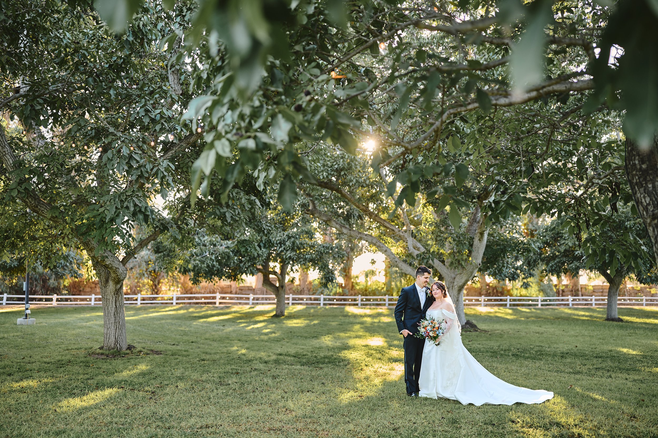 Morgan and Roman - Walnut Grove