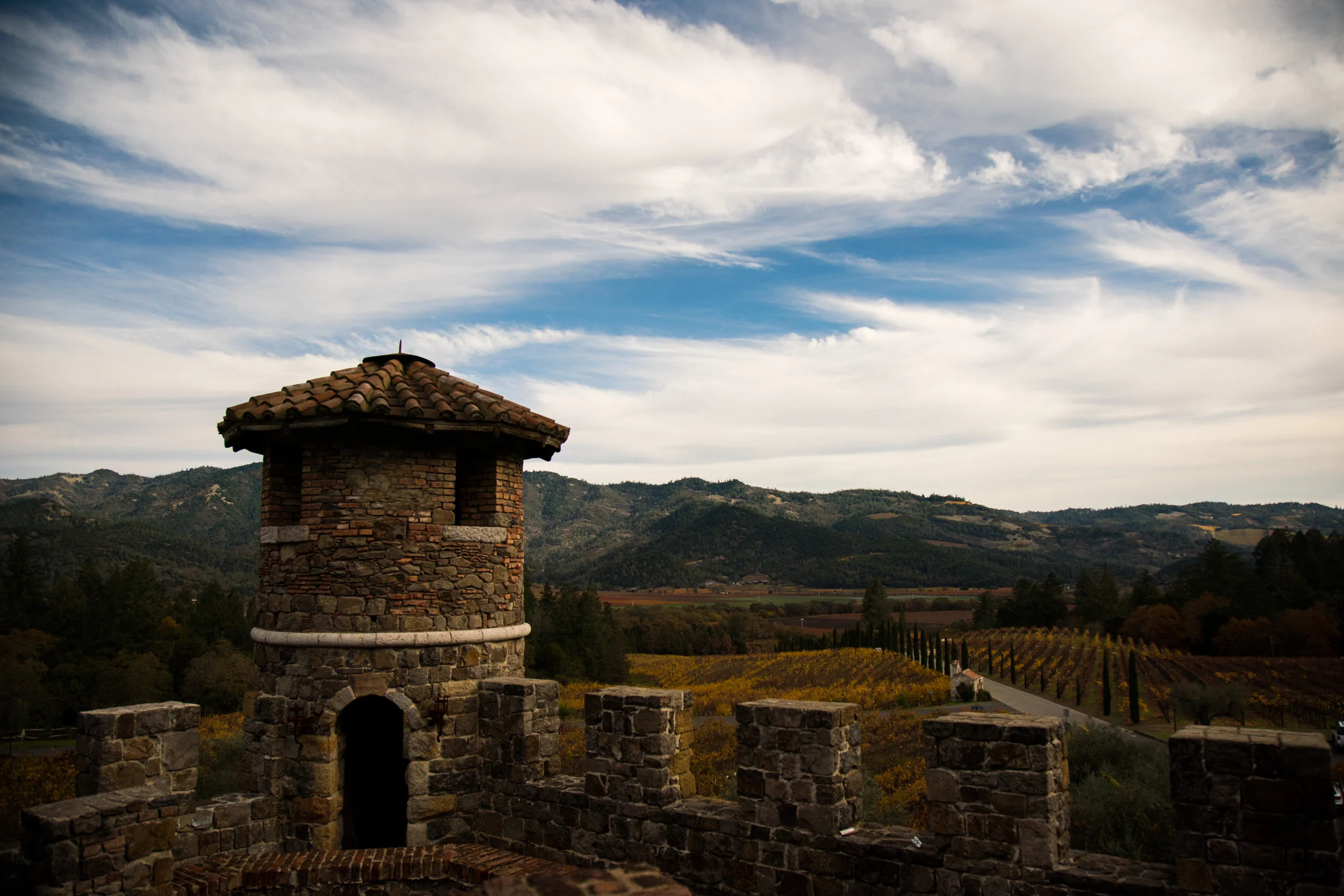 Castello_Di_Amorosa.jpg
