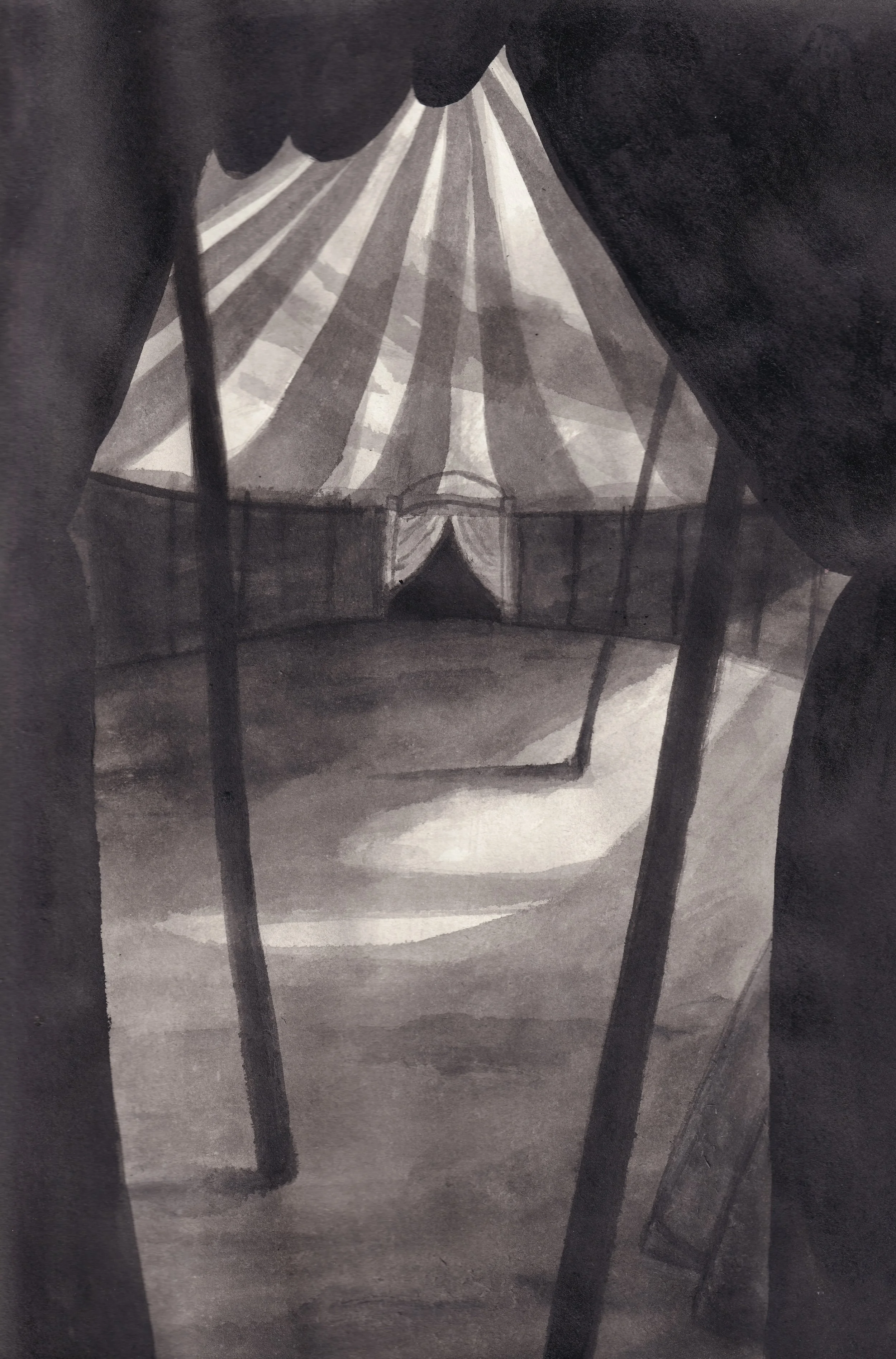 Shadow & Light