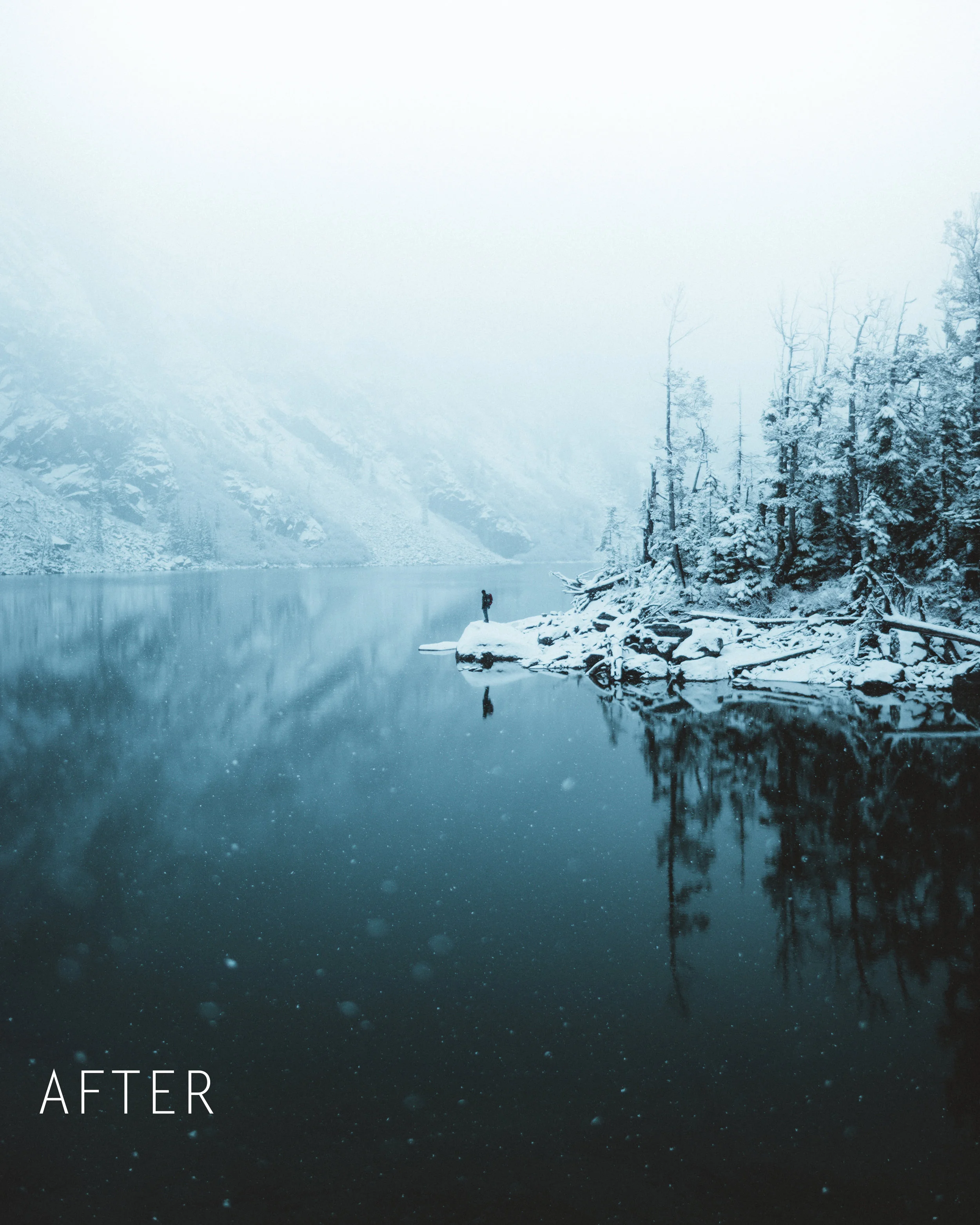Contrast After.jpg