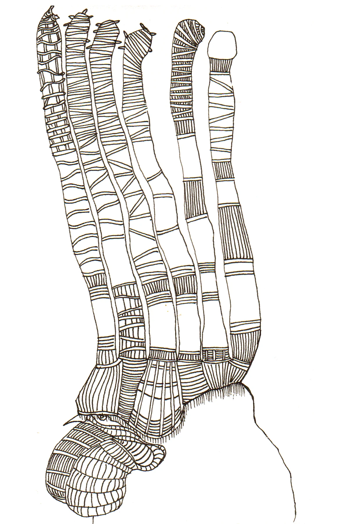 2012-09-04 19-55-40_0149.jpg